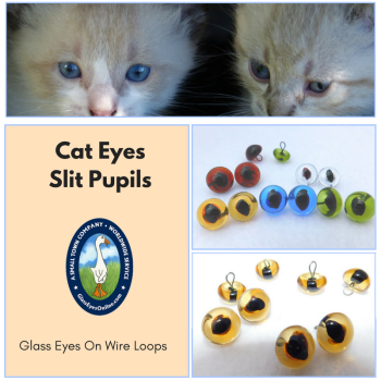 Cat Eyes Glass Eyes On  Loop Wire 