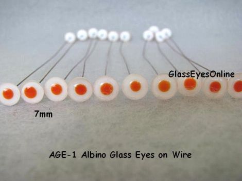 Albino Glass Eyes On Wire 