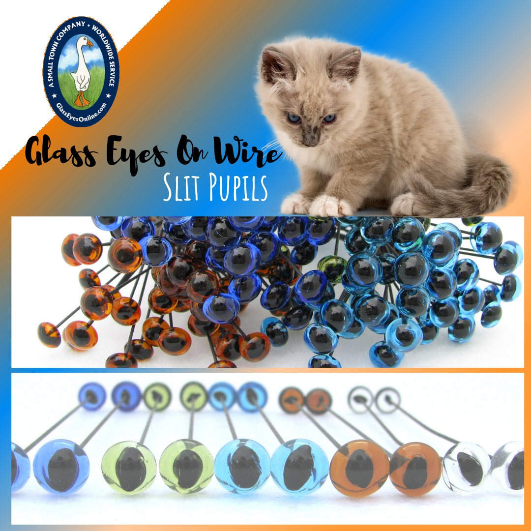 5 Pairs 9mm CLEAR Plastic Cat eyes, Safety eyes, Animal Eyes