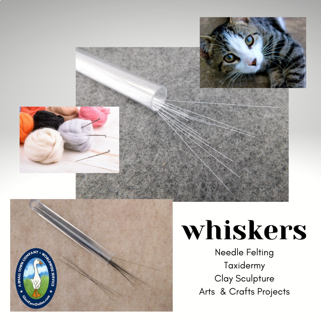 Whiskers